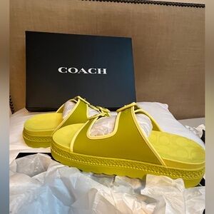 NIB COACH LUCY RUBBER KEY LIME